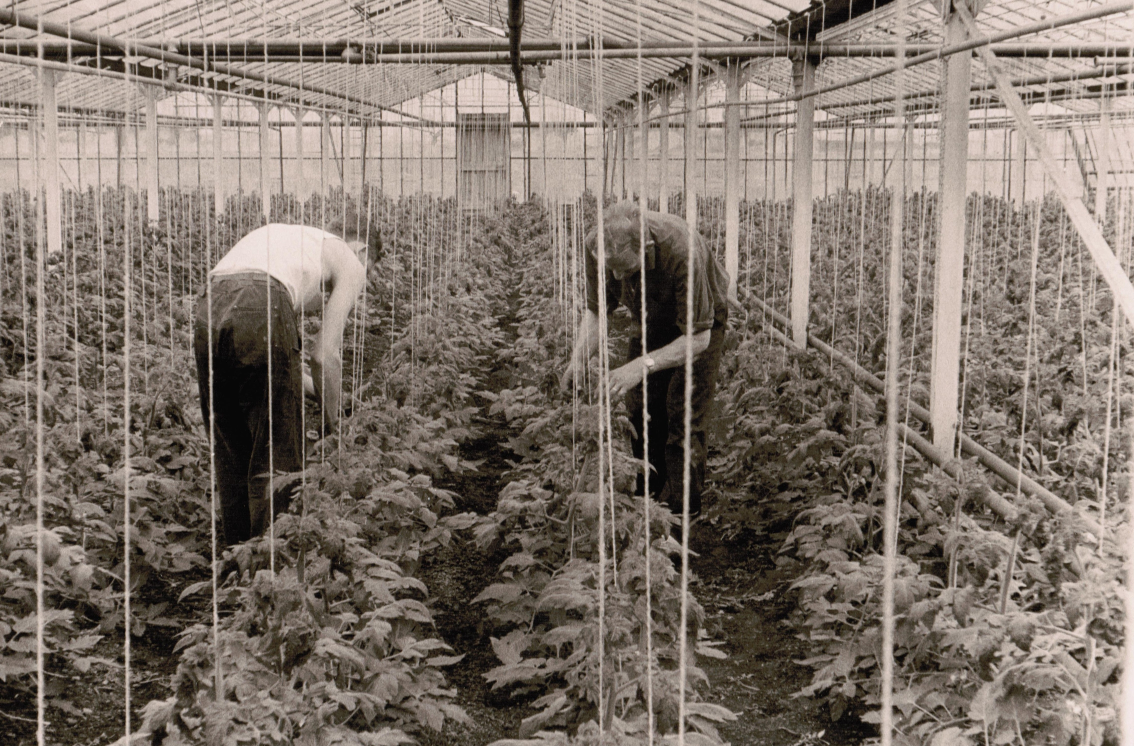 Geschiedenis, zwart en wit